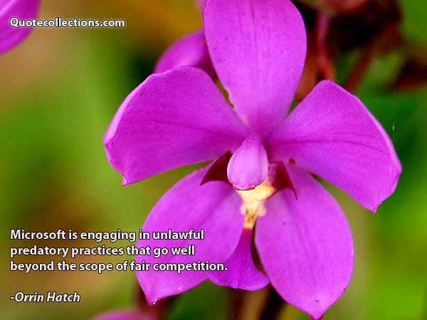 Orrin Hatch Quotes4